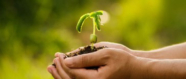 Zum Schutz der Natur und Tierwelt: Dein Praktikum im Bereich Umweltschutz