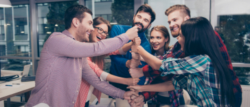 Leistungsstarke Teams entwickeln: Teamrollen nach Belbin